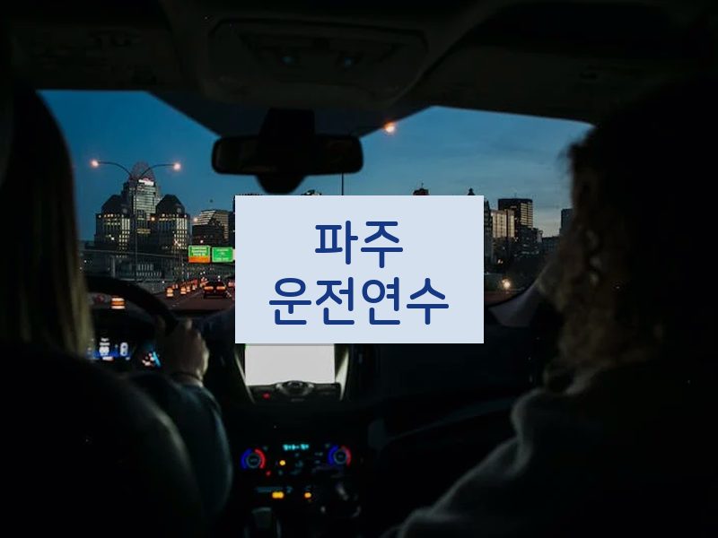 파주운전연수 후기