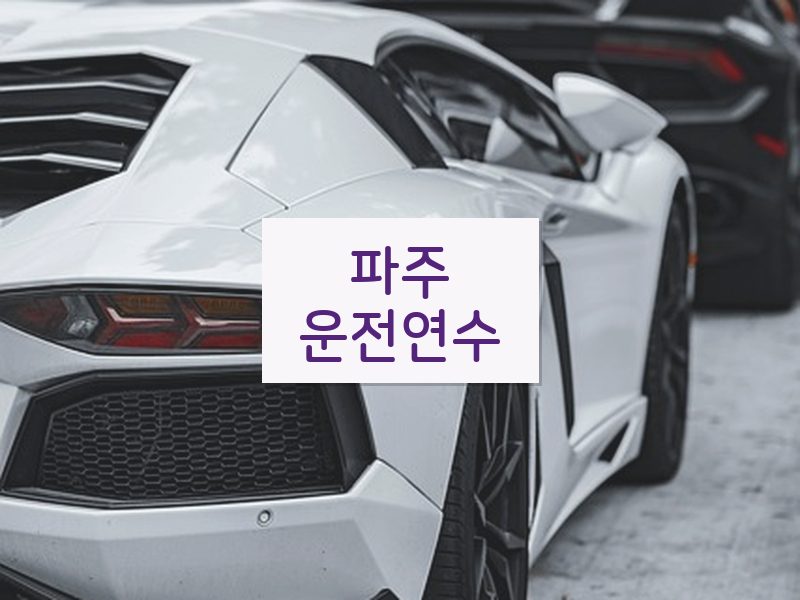 파주운전연수 후기