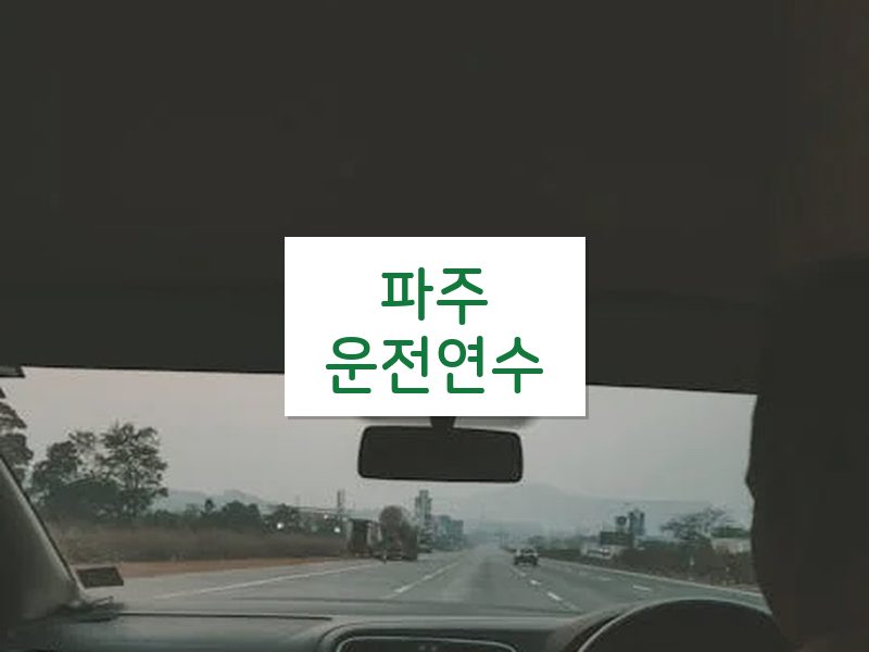 파주운전연수 후기