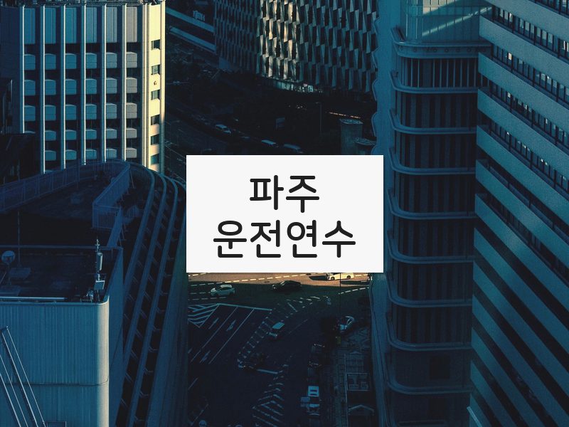 파주운전연수 후기