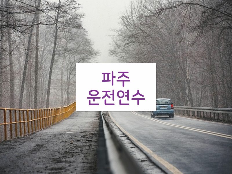 파주운전연수 후기