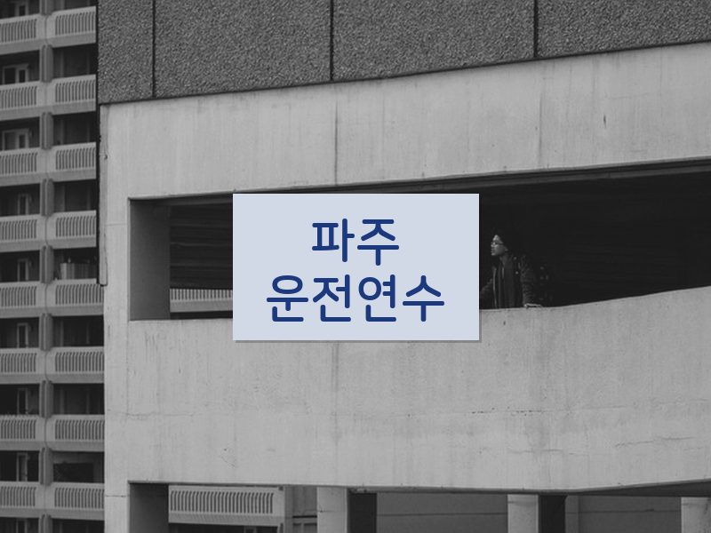 파주운전연수 후기
