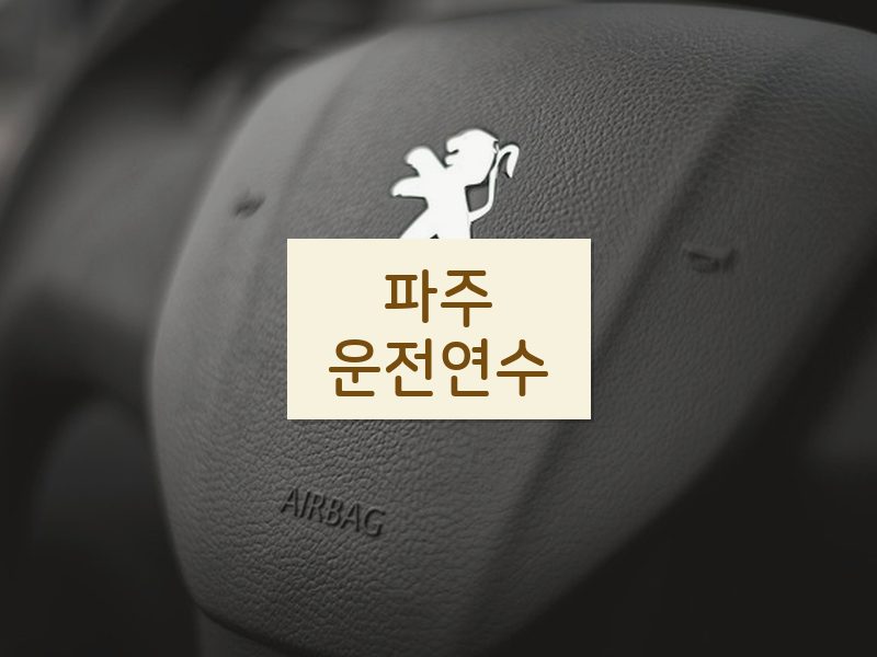 파주운전연수 후기