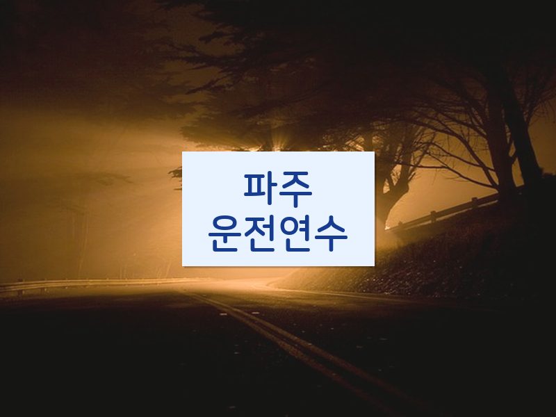 파주운전연수 후기