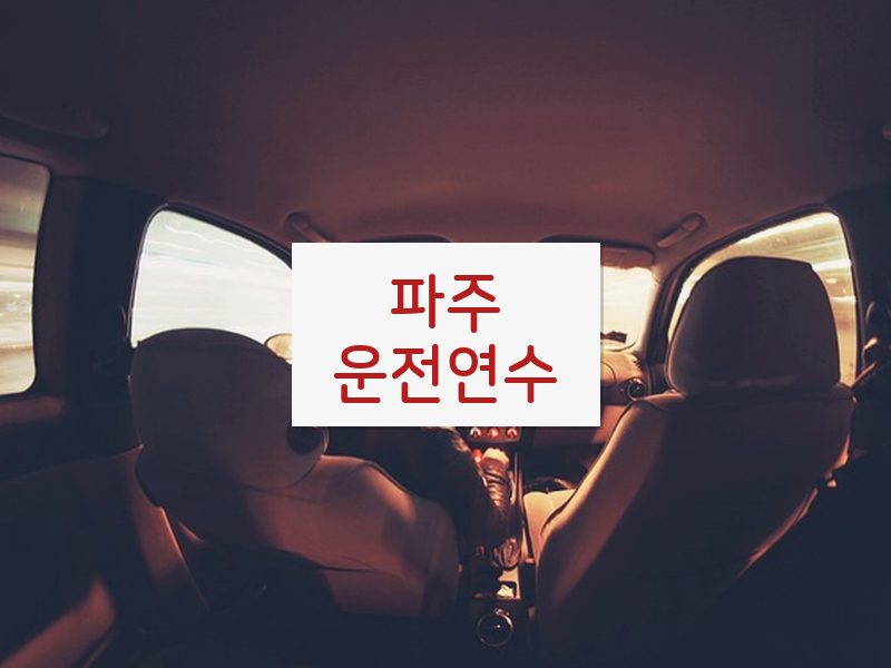 파주운전연수 후기