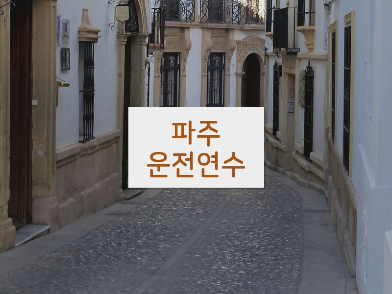 파주운전연수 후기