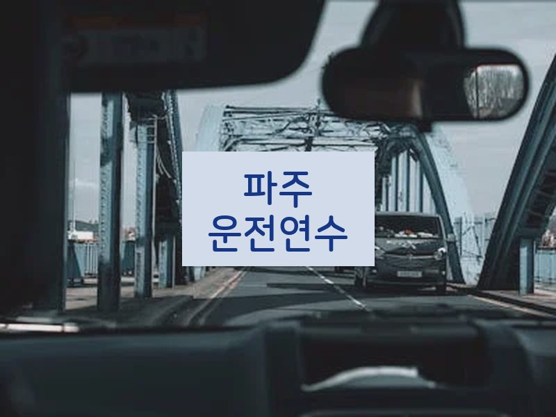 파주운전연수 후기