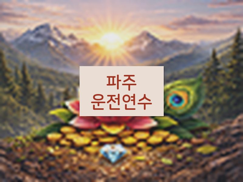 파주운전연수 후기