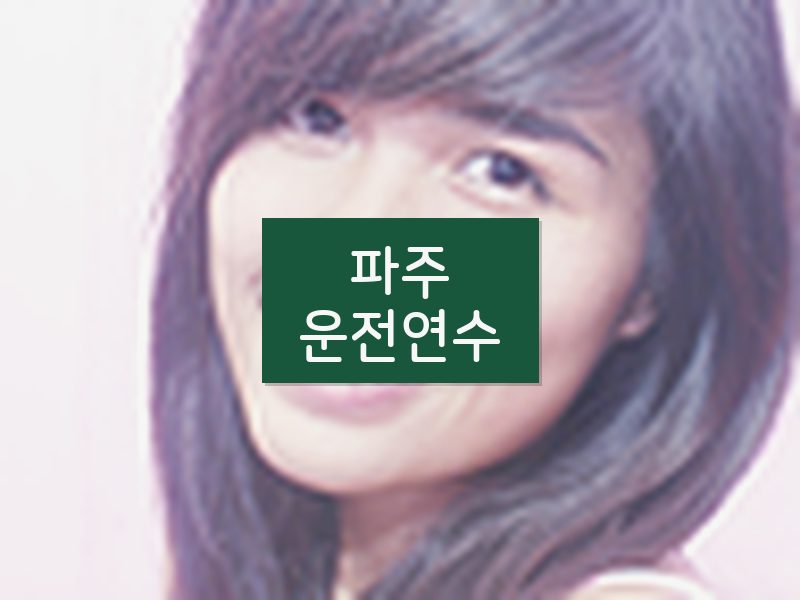 파주운전연수 후기