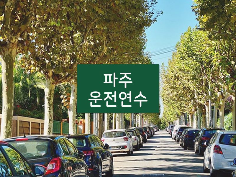 파주운전연수 후기