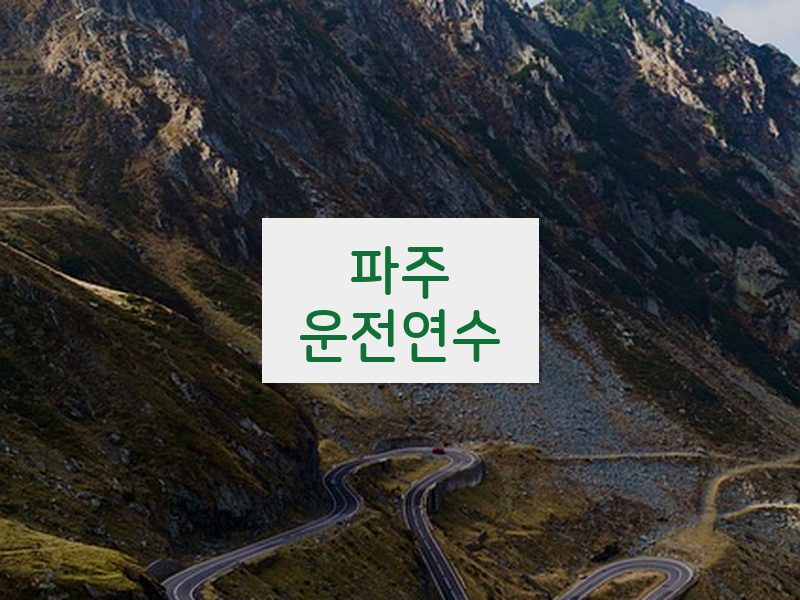파주운전연수 후기