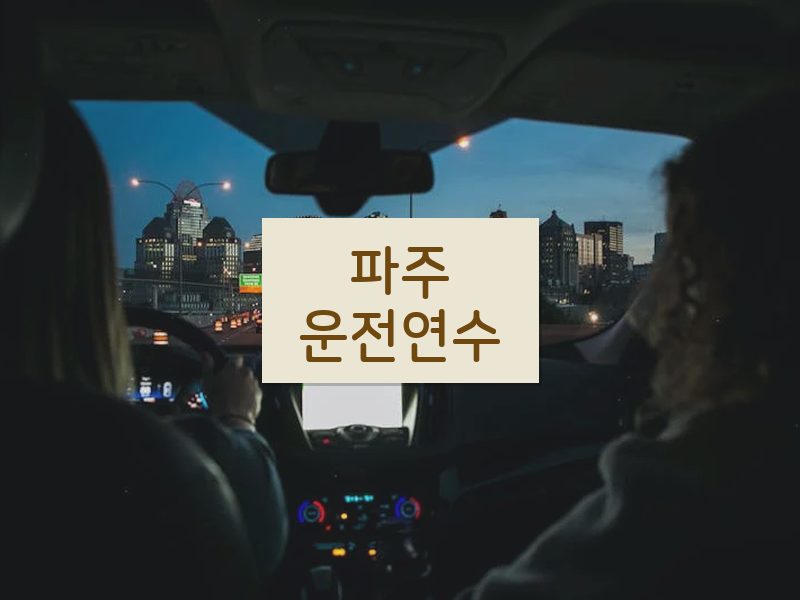 파주운전연수 후기