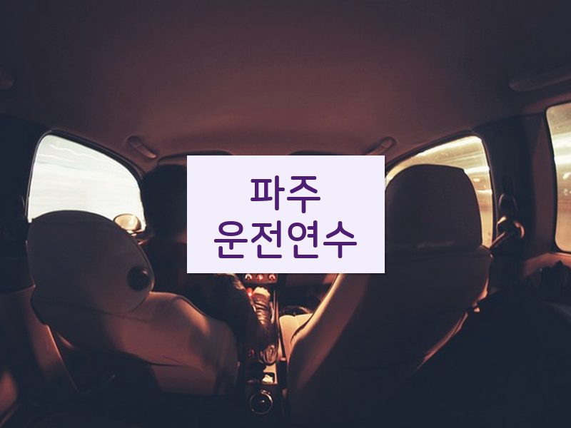 파주운전연수 후기