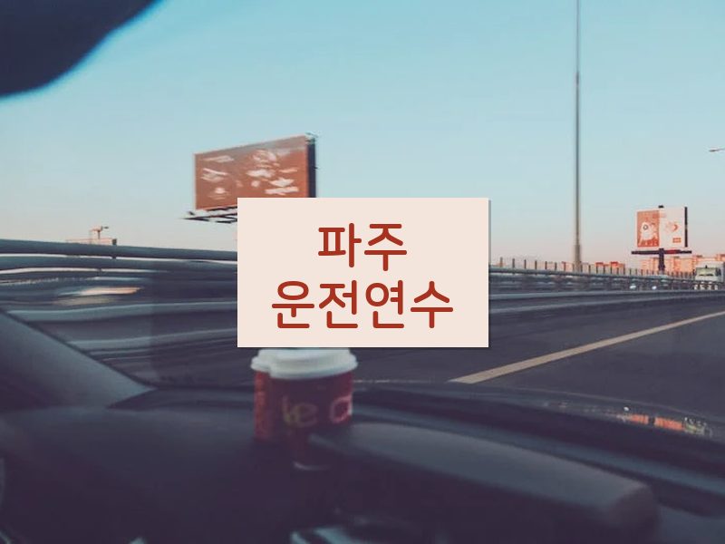 파주운전연수 후기