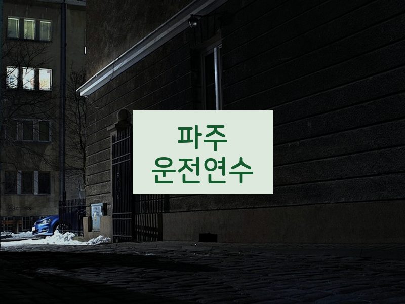 파주운전연수 후기