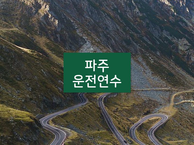 파주운전연수 후기