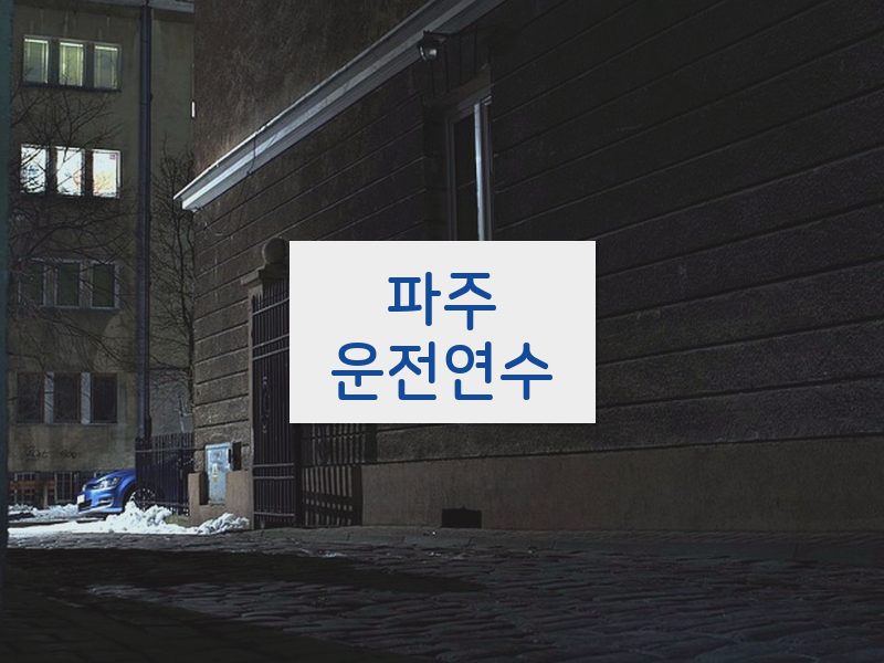 파주운전연수 후기