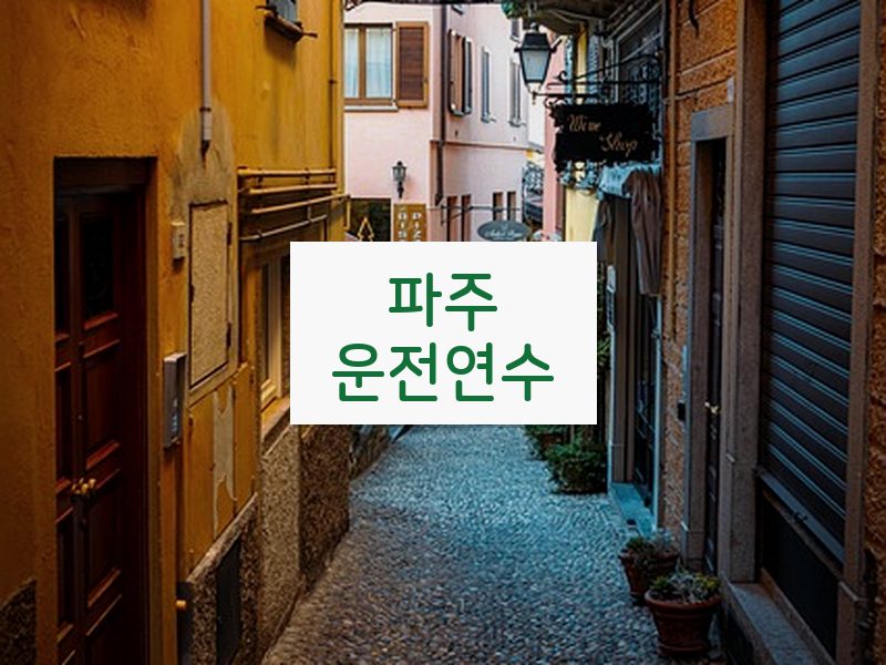 파주운전연수 후기