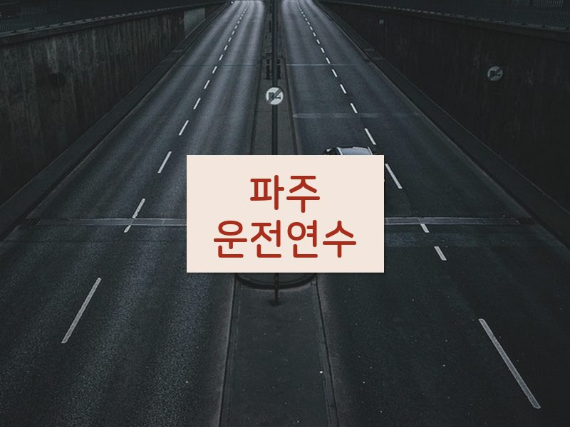 파주운전연수 후기