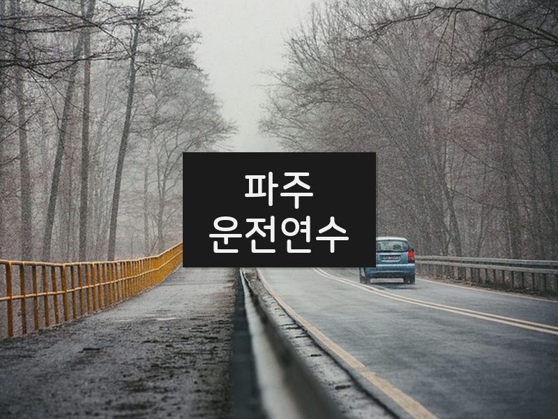 파주운전연수 후기