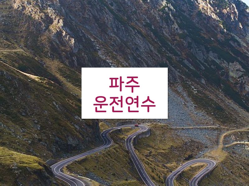 파주운전연수 후기