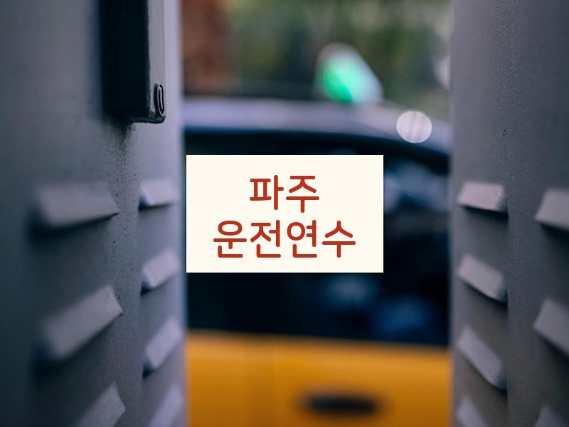 파주운전연수 후기