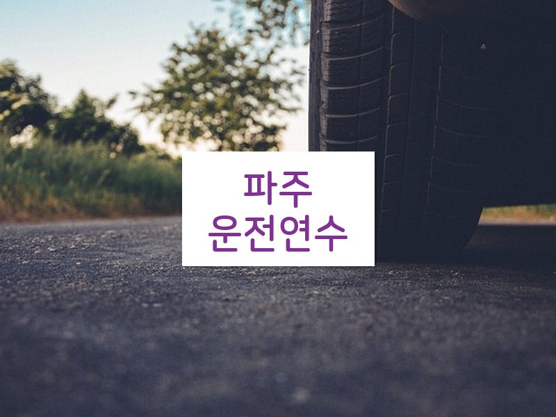 파주운전연수 후기