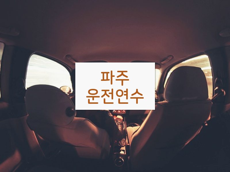 파주운전연수 후기