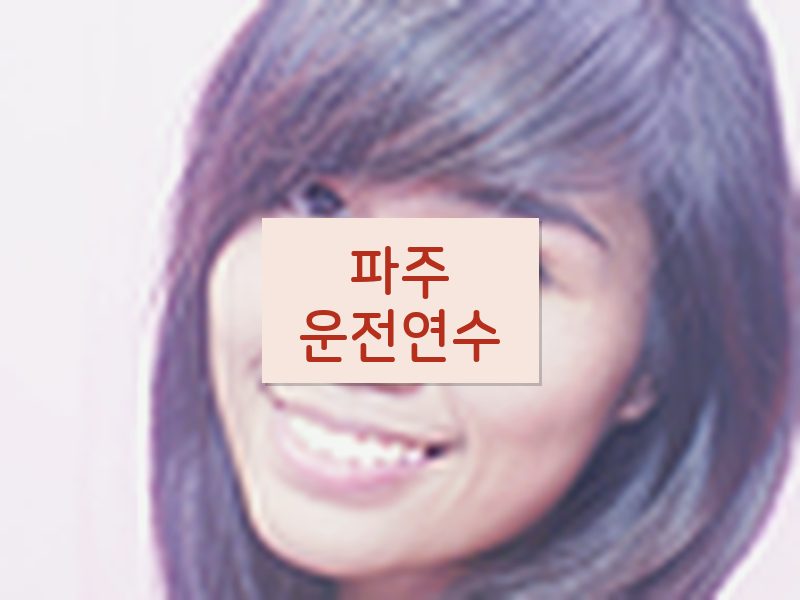 파주운전연수 후기