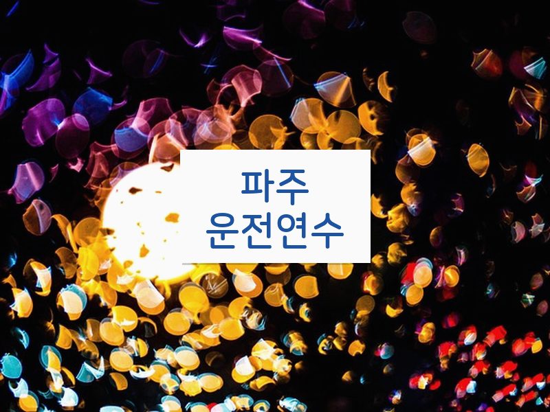 파주운전연수 후기