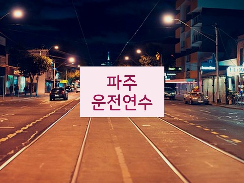 파주운전연수 후기