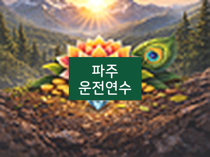 파주운전연수 후기