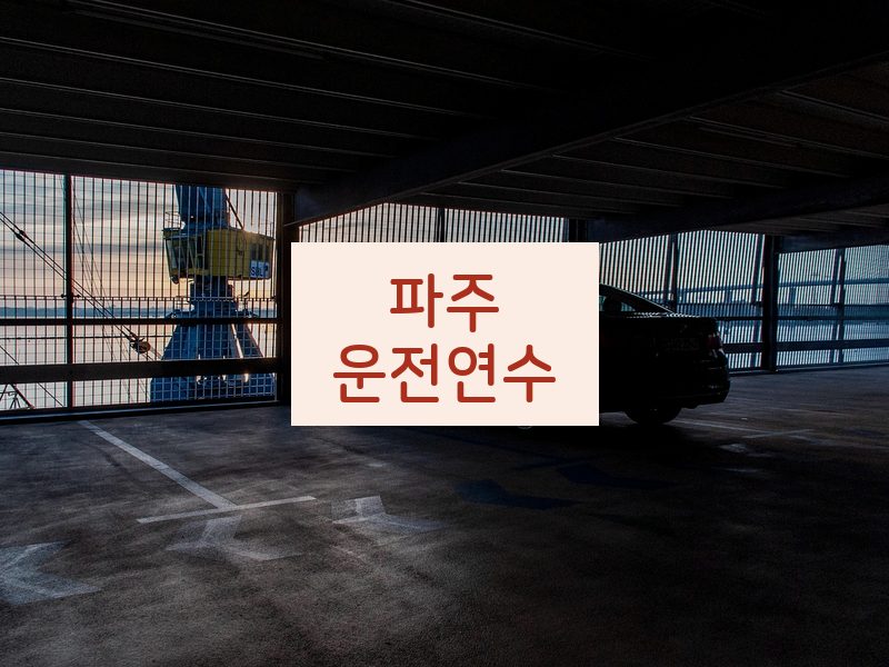 파주운전연수 후기