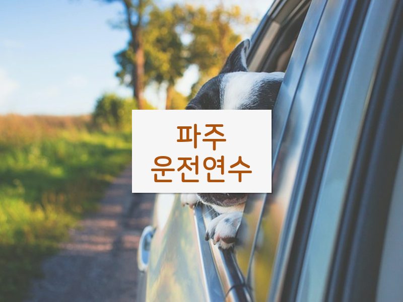 파주운전연수 후기