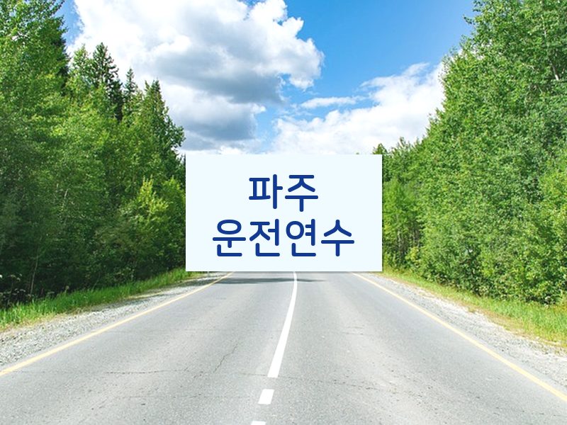 파주운전연수 후기