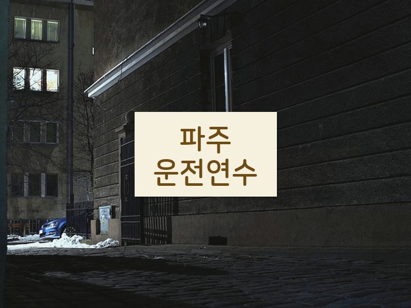 파주운전연수 후기