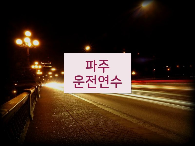 파주운전연수 후기