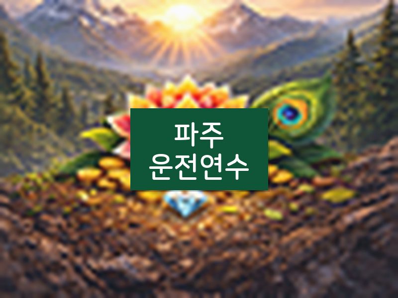 파주운전연수 후기
