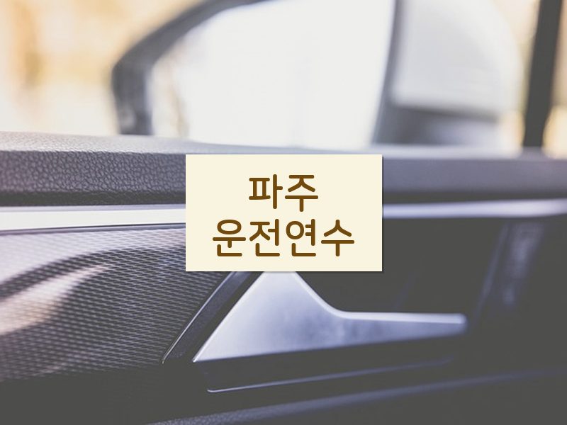 파주운전연수 후기