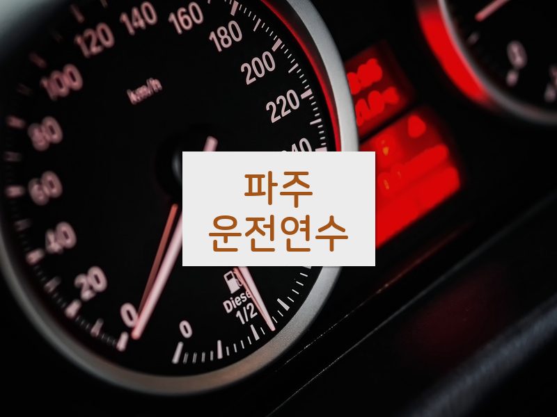 파주운전연수 후기