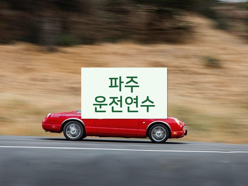 파주운전연수 후기
