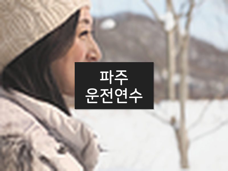 파주운전연수 후기