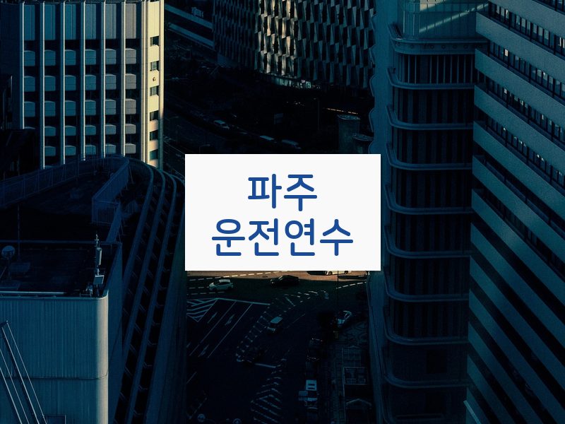 파주운전연수 후기