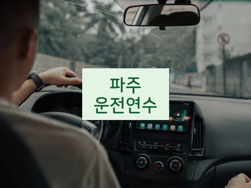 파주운전연수 후기