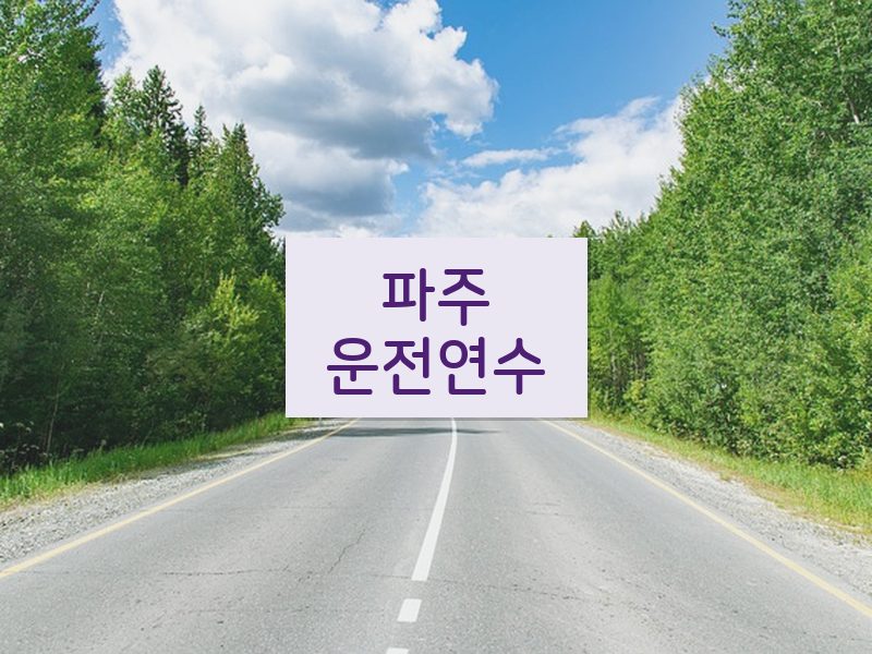 파주운전연수 후기
