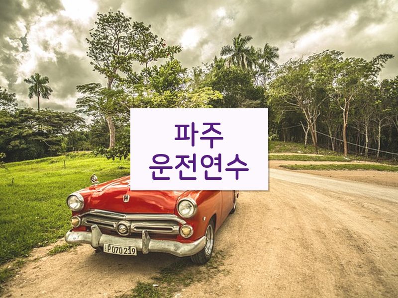 파주운전연수 후기