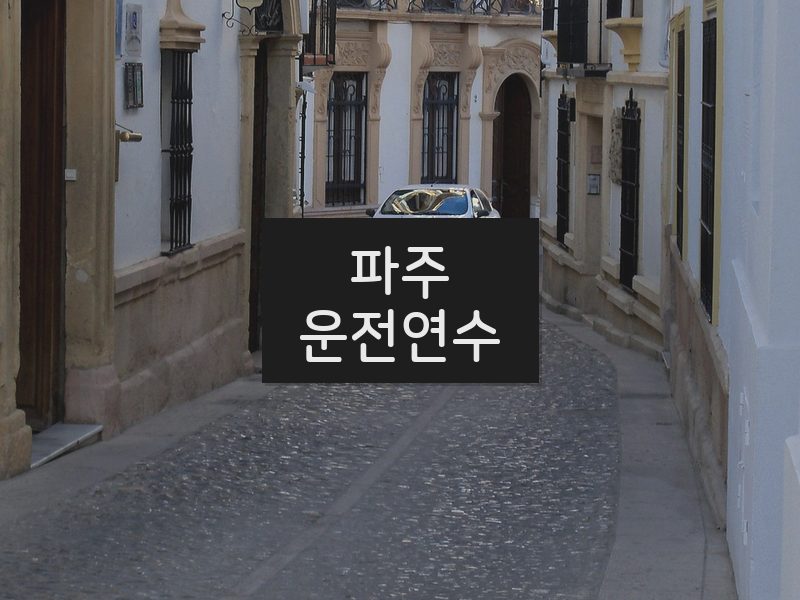 파주운전연수 후기