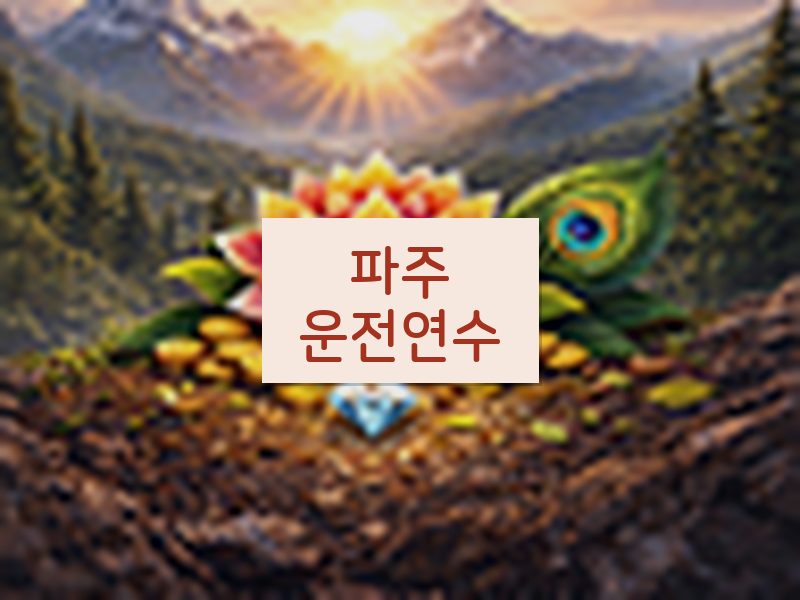 파주운전연수 후기