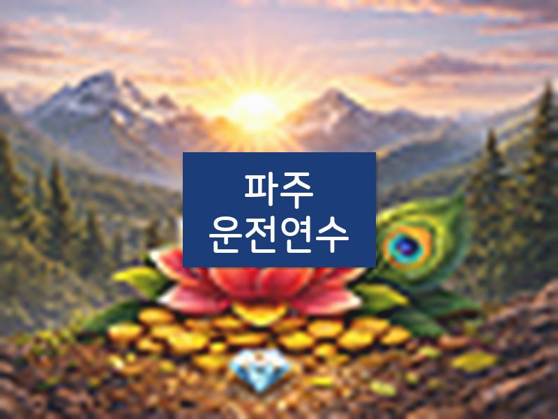 파주운전연수 후기