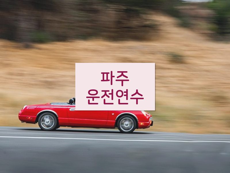 파주운전연수 후기